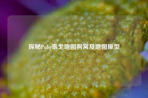 探秘Pubg泰戈地图狗窝及地图原型
