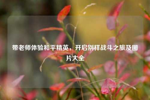 带老师体验和平精英，开启别样战斗之旅及图片大全