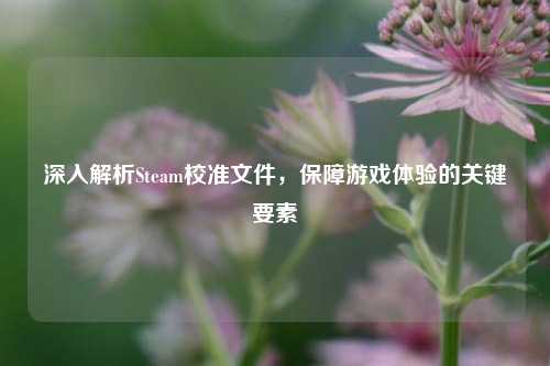 深入解析Steam校准文件，保障游戏体验的关键要素