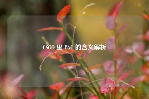 CSGO 里 PAC 的含义解析
