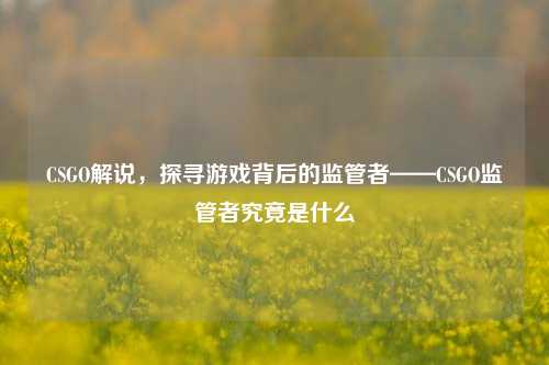 CSGO解说,探寻游戏背后的监管者——CSGO监管者究竟是什么