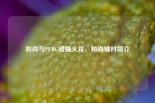 和尚与PUBG碰撞火花，和尚铺村简介