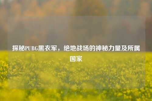 探秘PUBG黑衣军，绝地战场的神秘力量及所属国家
