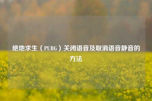绝地求生(PUBG)关闭语音及取消语音静音的方法