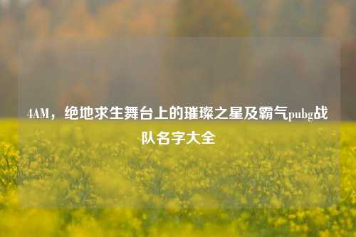 4AM，绝地求生舞台上的璀璨之星及霸气pubg战队名字大全
