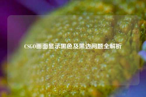 CSGO画面显示黑色及黑边问题全解析