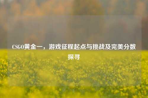 CSGO黄金一，游戏征程起点与挑战及完美分数探寻