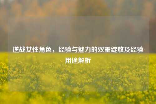 逆战女性角色，经验与魅力的双重绽放及经验用途解析