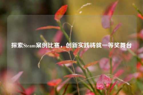 探索Steam案例比赛,创新实践铸就一等奖舞台