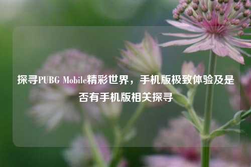 探寻PUBG Mobile精彩世界，手机版极致体验及是否有手机版相关探寻