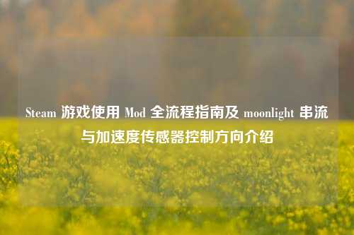 Steam 游戏使用 Mod 全流程指南及 moonlight 串流与加速度传感器控制方向介绍