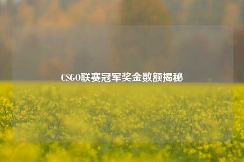 CSGO联赛冠军奖金数额揭秘