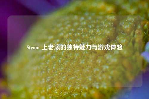 Steam 上老滚的独特魅力与游戏体验