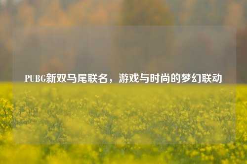 PUBG新双马尾联名，游戏与时尚的梦幻联动