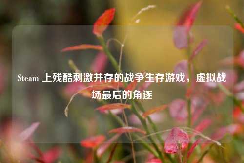 Steam 上残酷刺激并存的战争生存游戏，虚拟战场最后的角逐