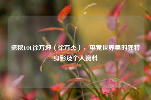 探秘LOL徐万坤（徐万杰），电竞世界里的独特身影及个人资料