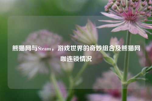 熊猫网与Steam，游戏世界的奇妙组合及熊猫网咖连锁情况