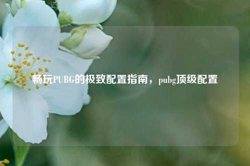 畅玩PUBG的极致配置指南，pubg顶级配置