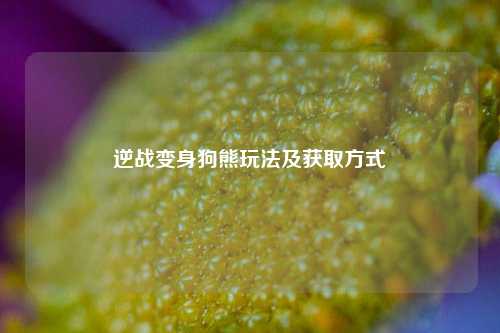 逆战变身狗熊玩法及获取方式
