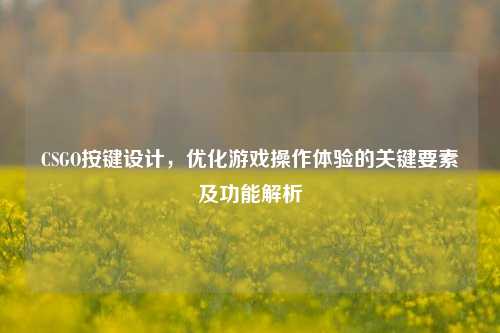 CSGO按键设计，优化游戏操作体验的关键要素及功能解析