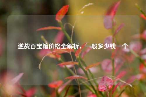 逆战百宝箱价格全解析，一般多少钱一个