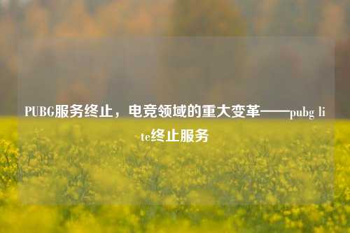 PUBG服务终止,电竞领域的重大变革——pubg lite终止服务