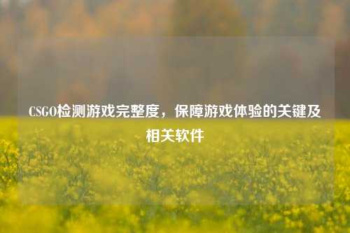 CSGO检测游戏完整度,保障游戏体验的关键及相关软件
