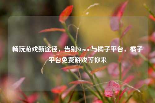 畅玩游戏新途径，告别Steam与橘子平台，橘子平台免费游戏等你来