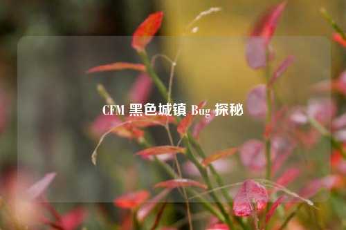 CFM 黑色城镇 Bug 探秘