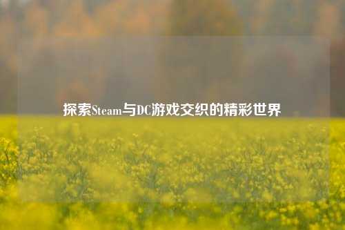 探索Steam与DC游戏交织的精彩世界