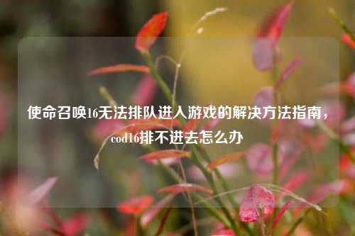 使命召唤16无法排队进入游戏的解决方法指南，cod16排不进去怎么办
