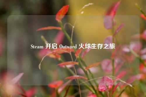 Steam 开启 Outward 火球生存之旅
