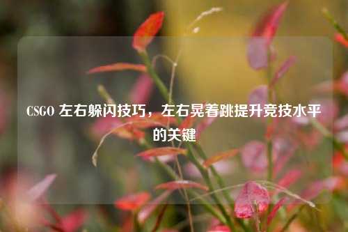 CSGO 左右躲闪技巧，左右晃着跳提升竞技水平的关键