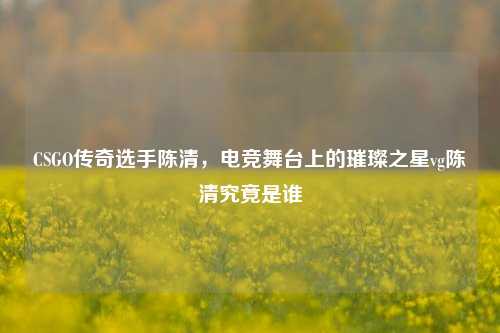 CSGO传奇选手陈清，电竞舞台上的璀璨之星vg陈清究竟是谁
