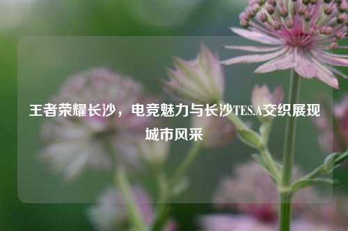 王者荣耀长沙，电竞魅力与长沙TES.A交织展现城市风采