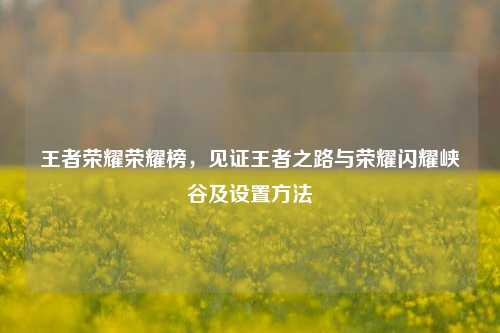 王者荣耀荣耀榜，见证王者之路与荣耀闪耀峡谷及设置方法