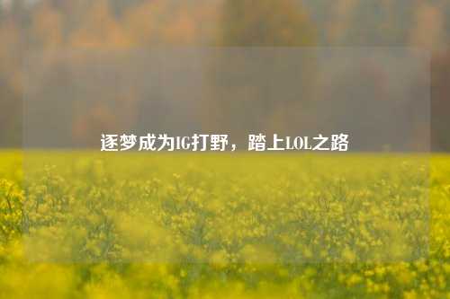 逐梦成为IG打野，踏上LOL之路