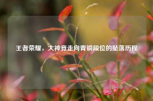 王者荣耀，大神竟走向青铜段位的坠落历程
