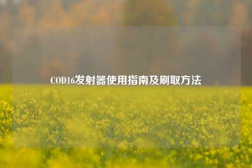 COD16发射器使用指南及刷取方法