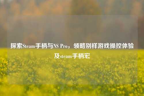 探索Steam手柄与NS Pro，领略别样游戏操控体验及steam手柄宏