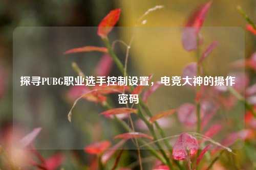 探寻PUBG职业选手控制设置，电竞大神的操作密码
