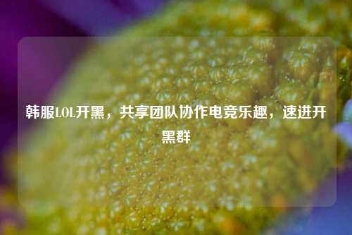 韩服LOL开黑，共享团队协作电竞乐趣，速进开黑群