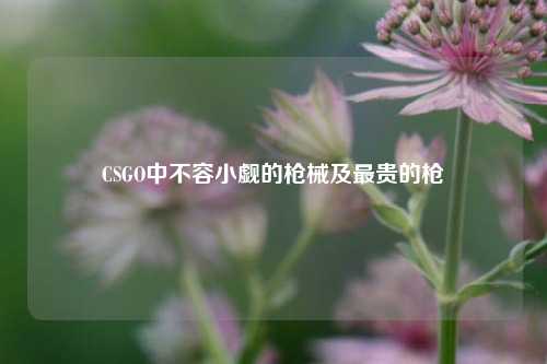 CSGO中不容小觑的枪械及最贵的枪