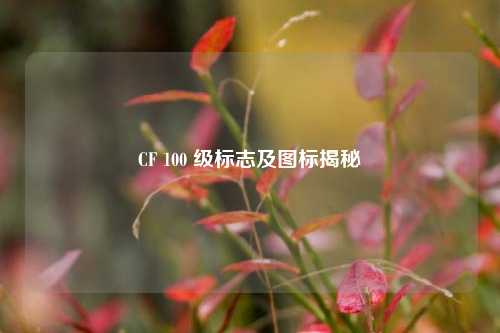 CF 100 级标志及图标揭秘