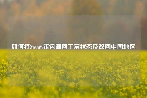 如何将Steam钱包调回正常状态及改回中国地区