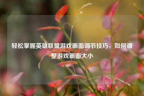 轻松掌握英雄联盟游戏画面调节技巧，如何调整游戏画面大小