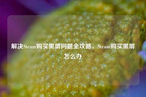 解决Steam购买黑屏问题全攻略，Steam购买黑屏怎么办