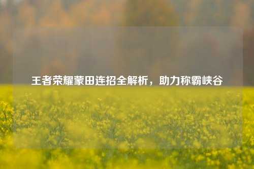 王者荣耀蒙田连招全解析，助力称霸峡谷