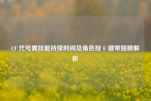 CF 代号翼技能持续时间及角色按 E 键带翅膀解析