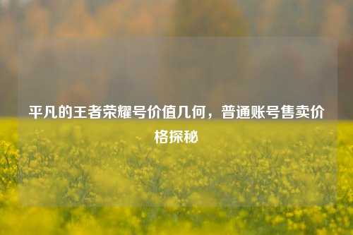 平凡的王者荣耀号价值几何，普通账号售卖价格探秘